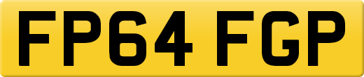 FP64FGP